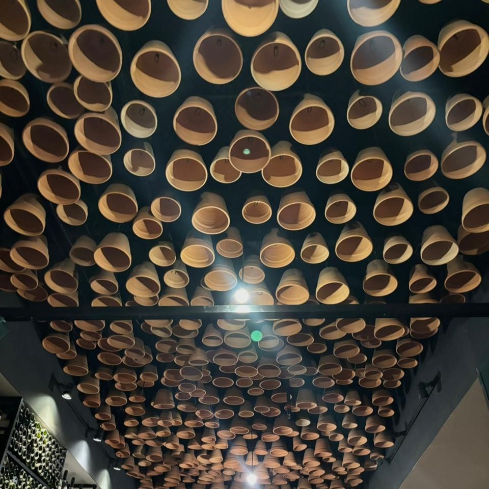Foto Olegario 4